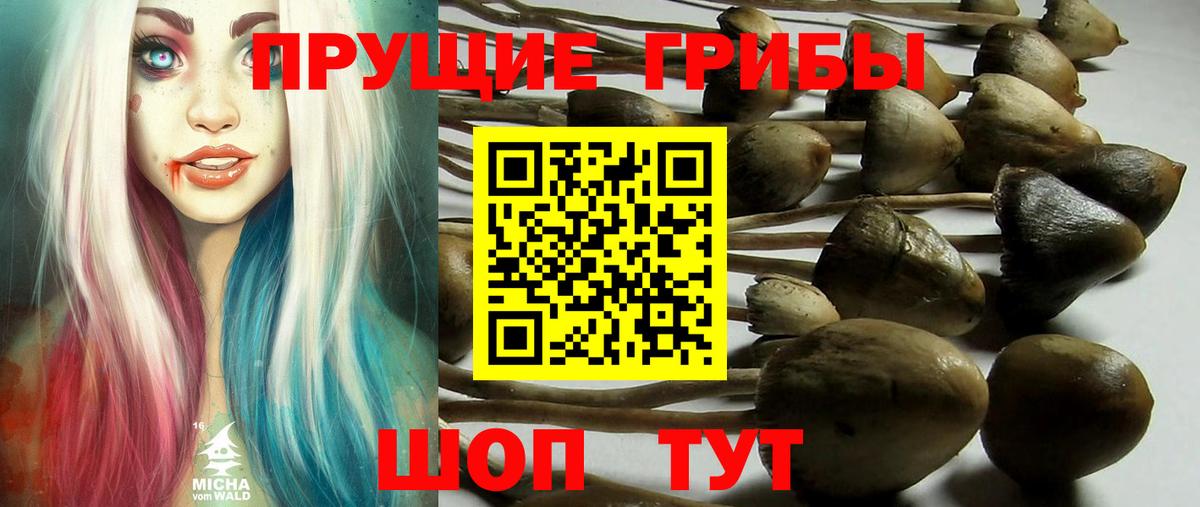 Галлюциногенные грибы MAGIC MUSHROOMS  Вход с VPN  Рыбинск  Галлюциногенные грибы ЛСД 